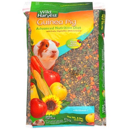 Guinea Pig Food